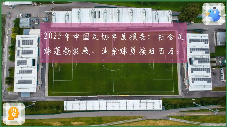 2025年中国足协年度报告：社会足球蓬勃发展、业余球员接近百万，青年国字号表现出色